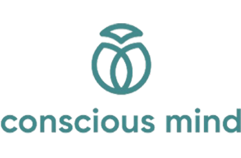 Conscious Mind